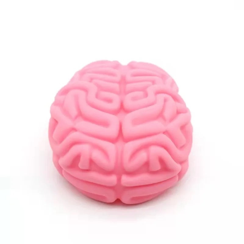 Squishy Brain 🧠