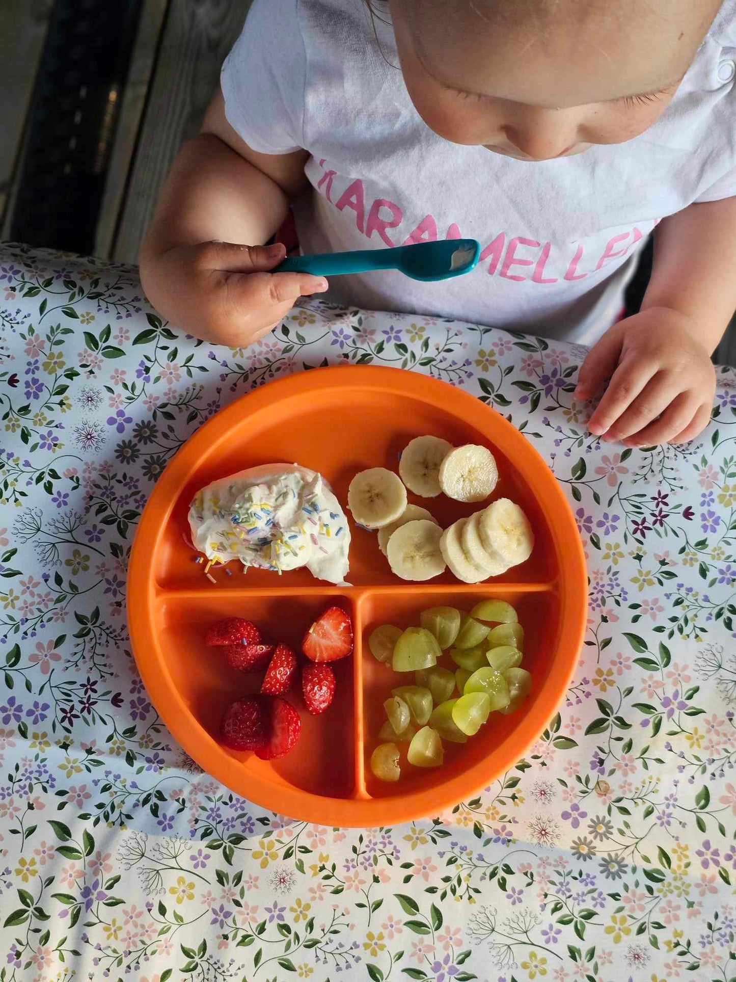 ARK:s Delade Tallrik – Perfekt för Att Hålla Isär Maten